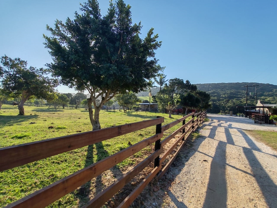 Commercial Property for Sale in Colleen Glen Eastern Cape